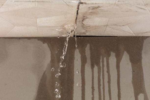 Professional Structural Drying technician working in Elk Mound, WI